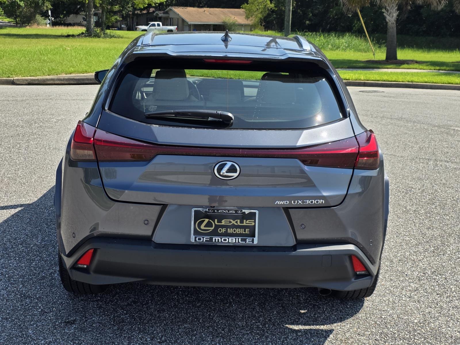 Used 2025 Gray Lexus 300h Premium image 3