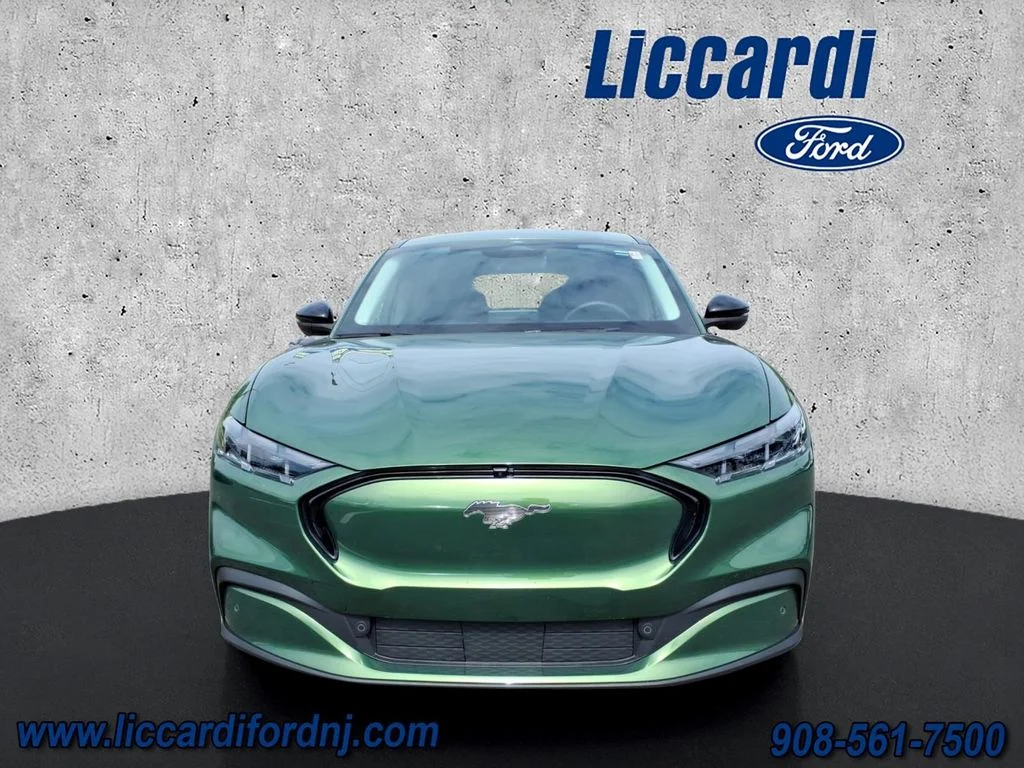 Certified 2025 Ford Mustang Mach-E Premium RWD with VIN 3FMTK3R79SMA19263 for sale in Watchung, NJ