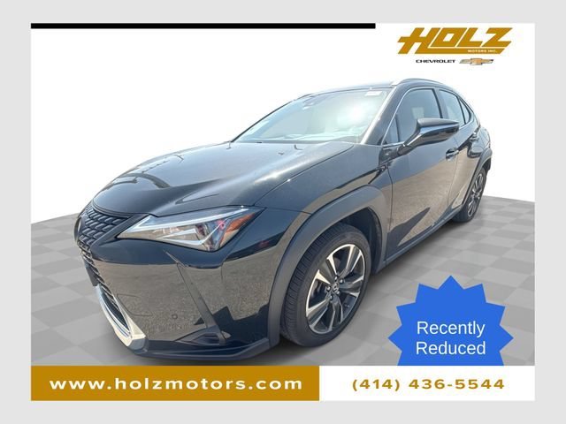2021 Lexus UX 300h 250h AWD's photo