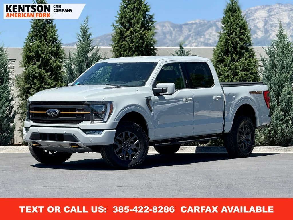 Used 2023 Gray Ford Tremor image 1