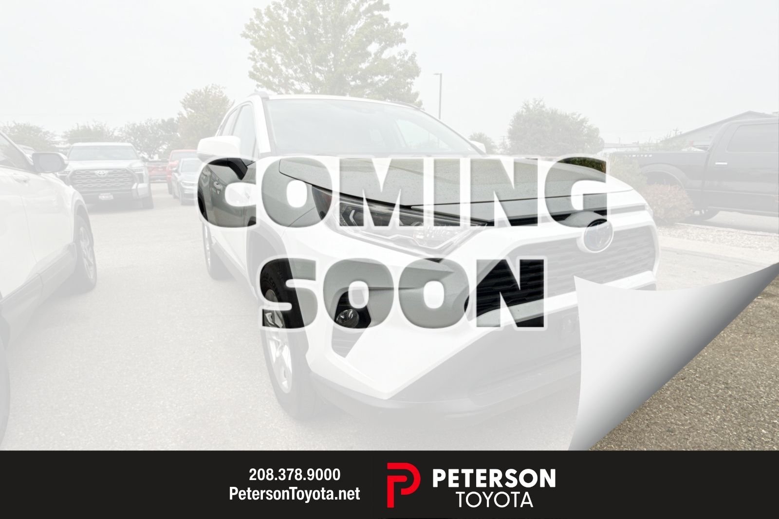 Used 2021 White Toyota XLE image 1