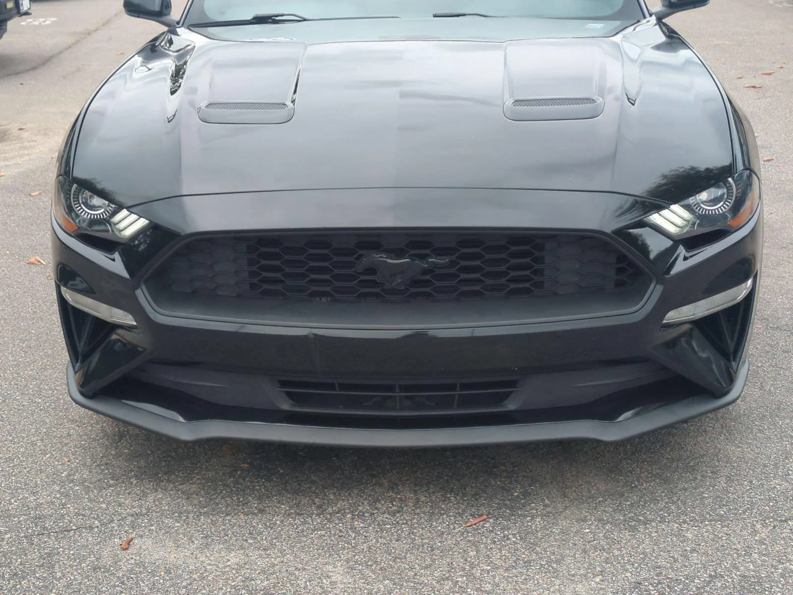 Used 2022 Shadow Black Ford EcoBoost image 13