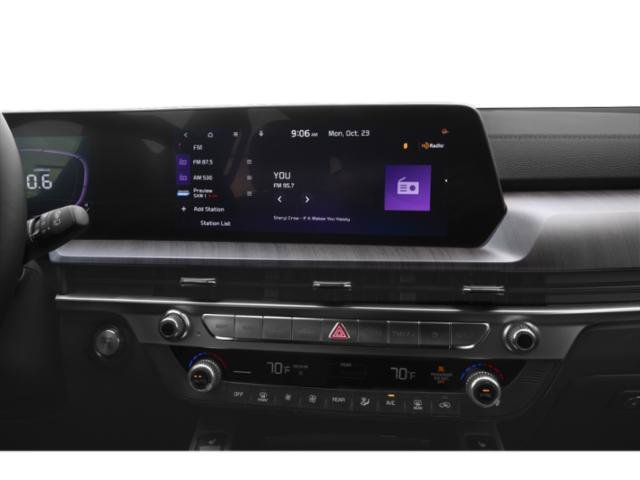 Used 2025 Panthera Metal Kia EX image 13
