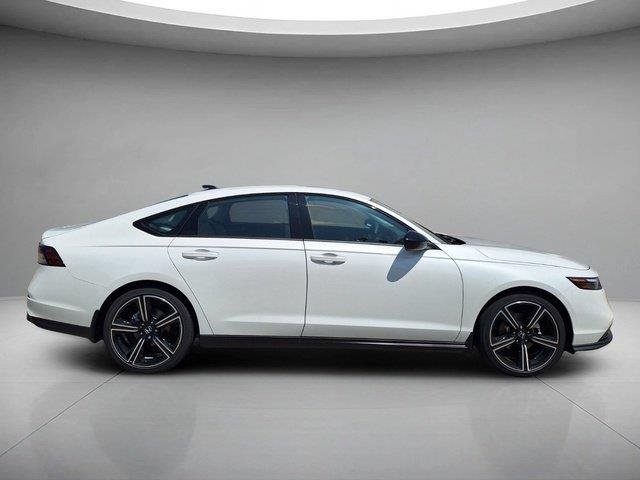 New 2026 Platinum White Pearl Honda SE image 6