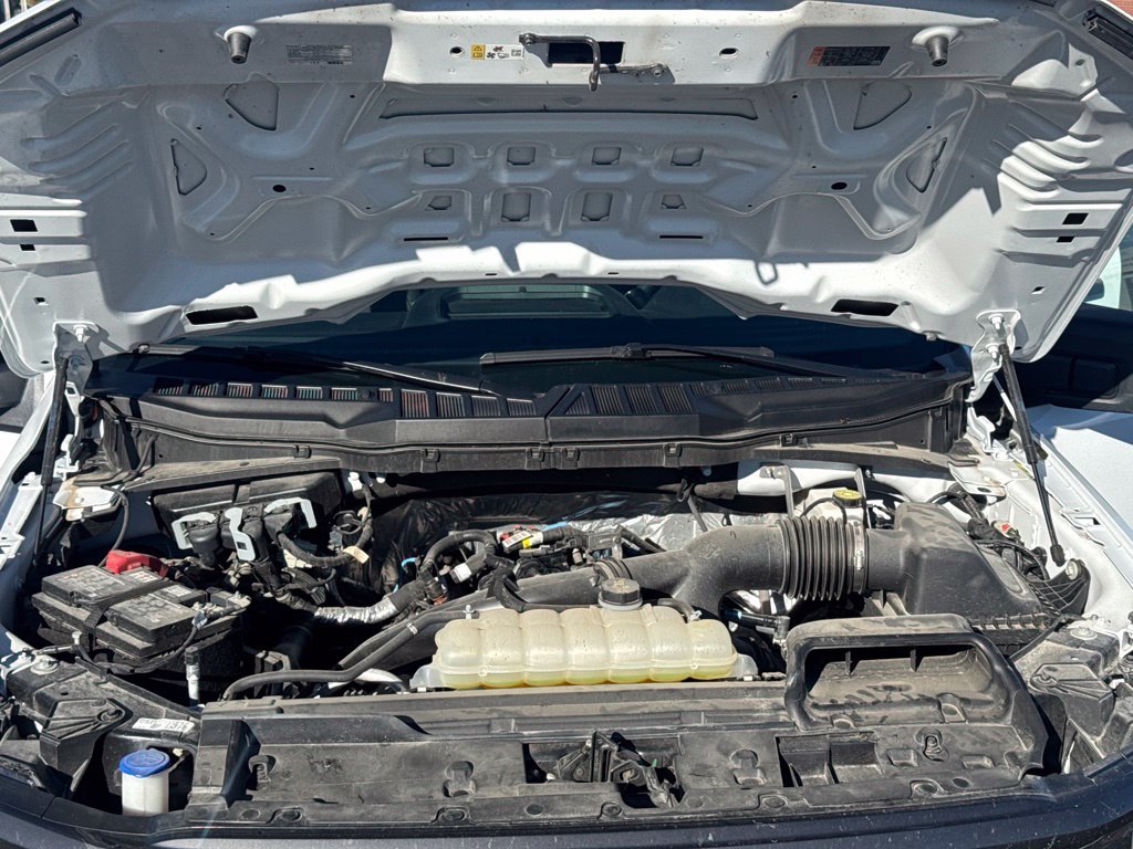 Used 2025 White Ford STX image 19