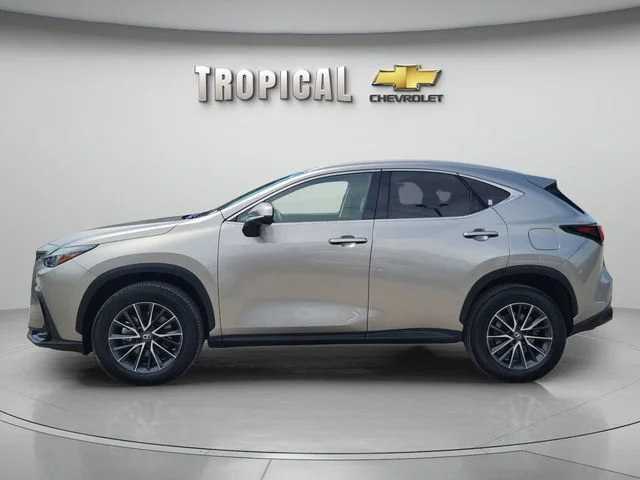 Used 2023 Silver Lexus NX 350 Premium image 2