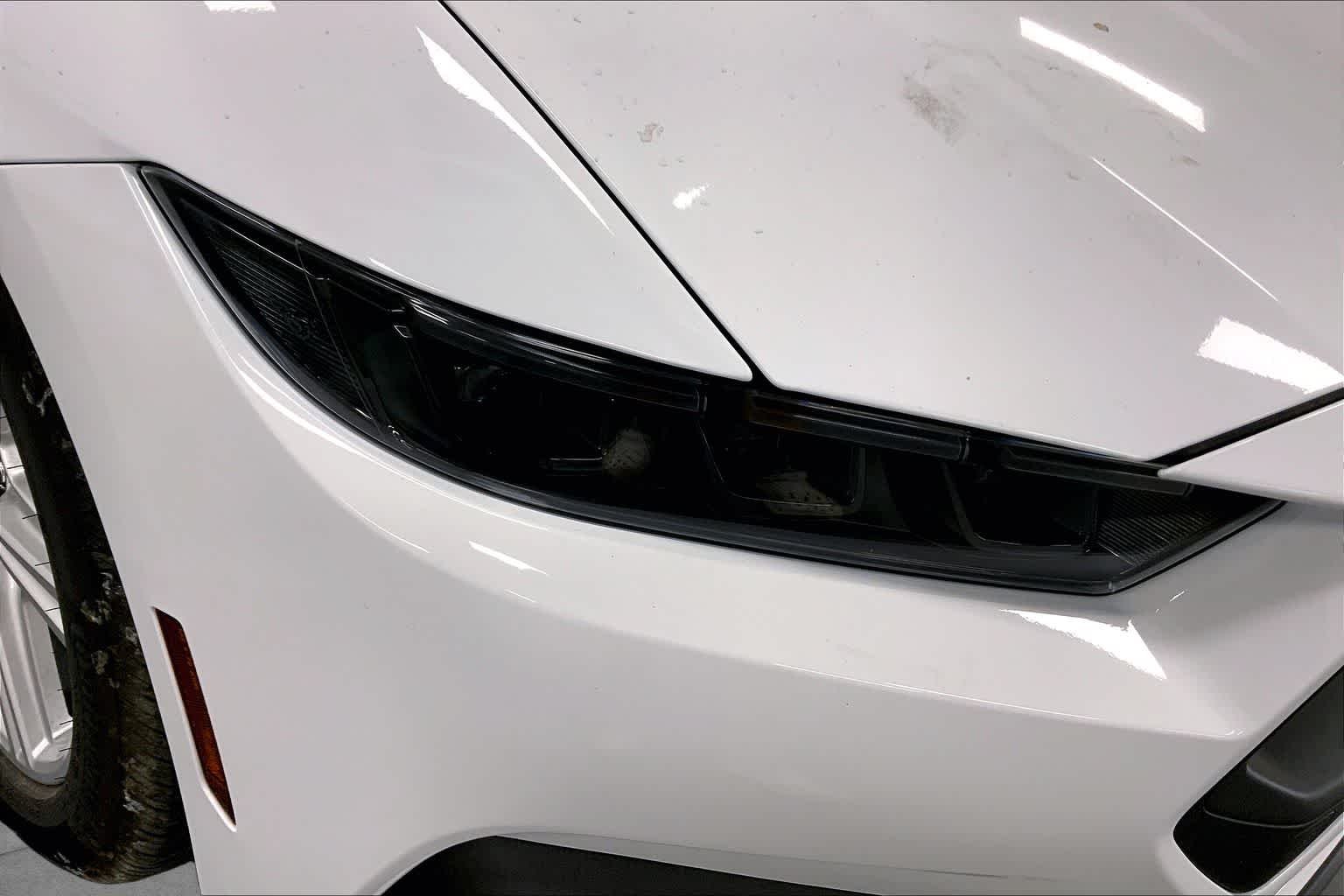 New 2026 Oxford White Ford EcoBoost® Fastback image 13