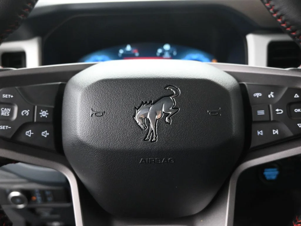 New 2026 Shadow Black Ford Heritage Edition image 10