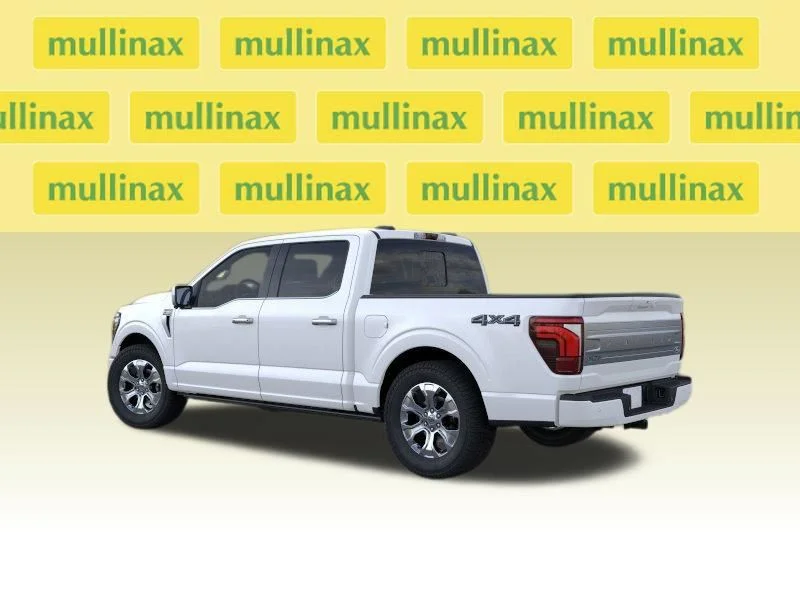 New 2026 White Ford Platinum image 10