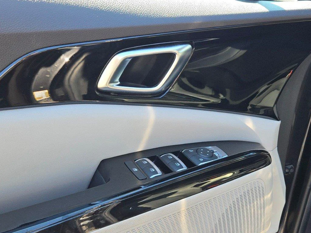Used 2022 Panthera Metal Kia EX image 20