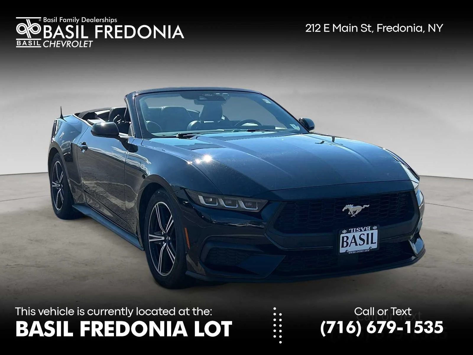 2024 Ford Mustang EcoBoost Premium Convertible's photo