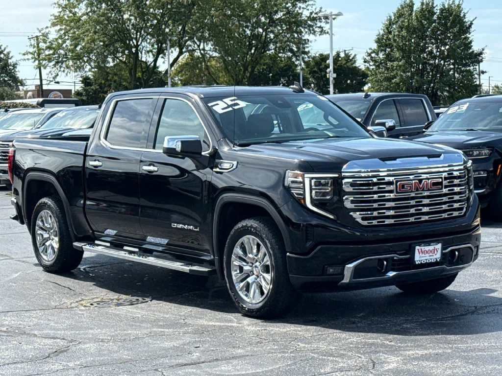 2025 GMC Sierra 1500 Denali - Photo 6