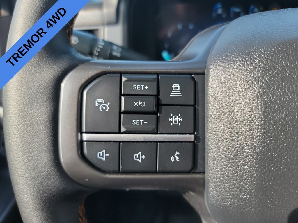 Used 2025 Black Ford Tremor image 20