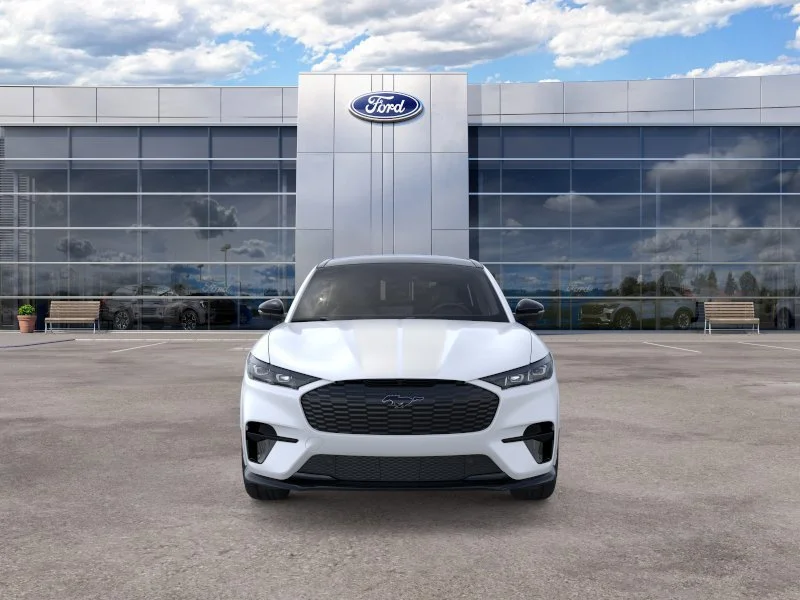 2025 Ford Mustang Mach-E GT - Photo 6