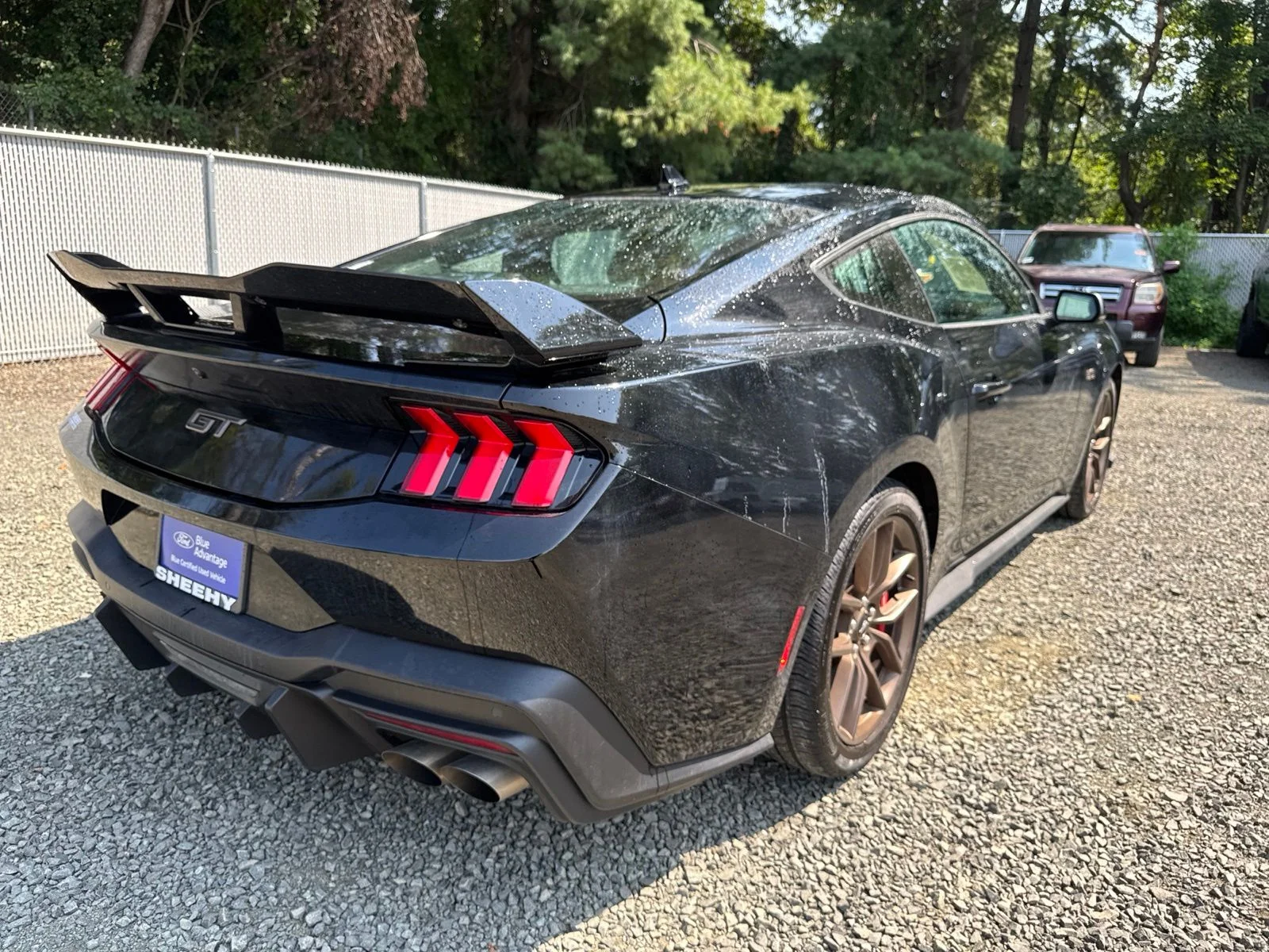 Certified Used 2025 Black Ford GT Premium image 14