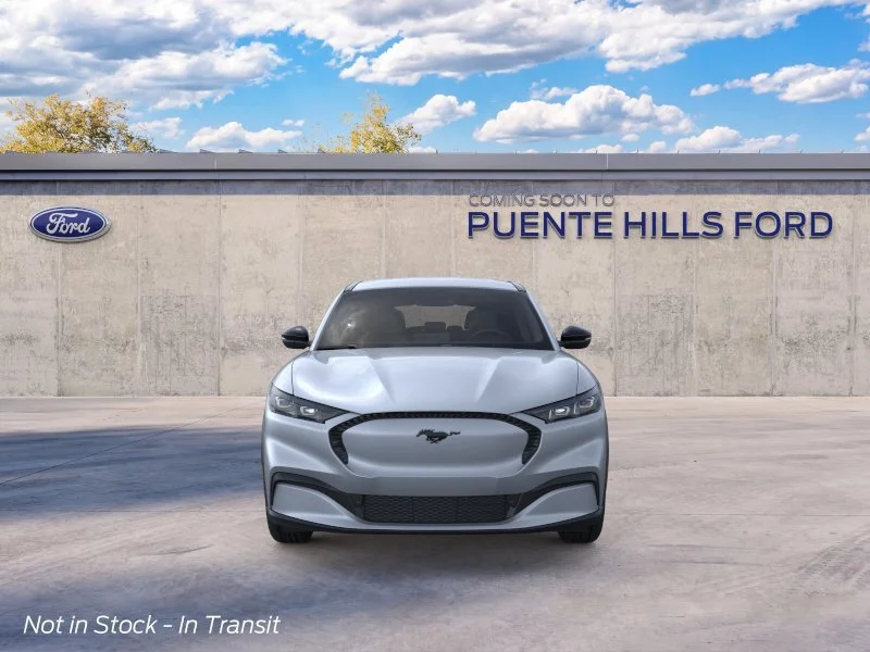 New 2026 Gray Ford Select image 6