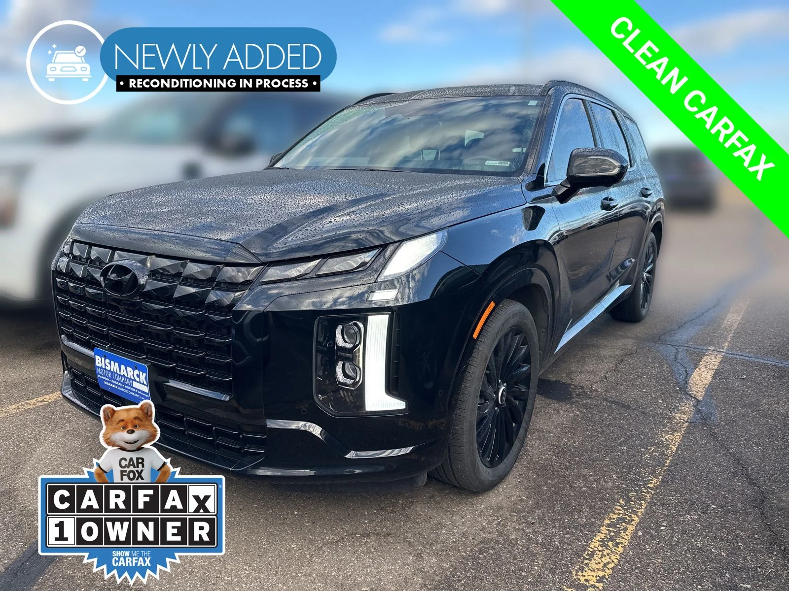 2025 Hyundai Palisade Calligraphy Night Edition AWD's photo