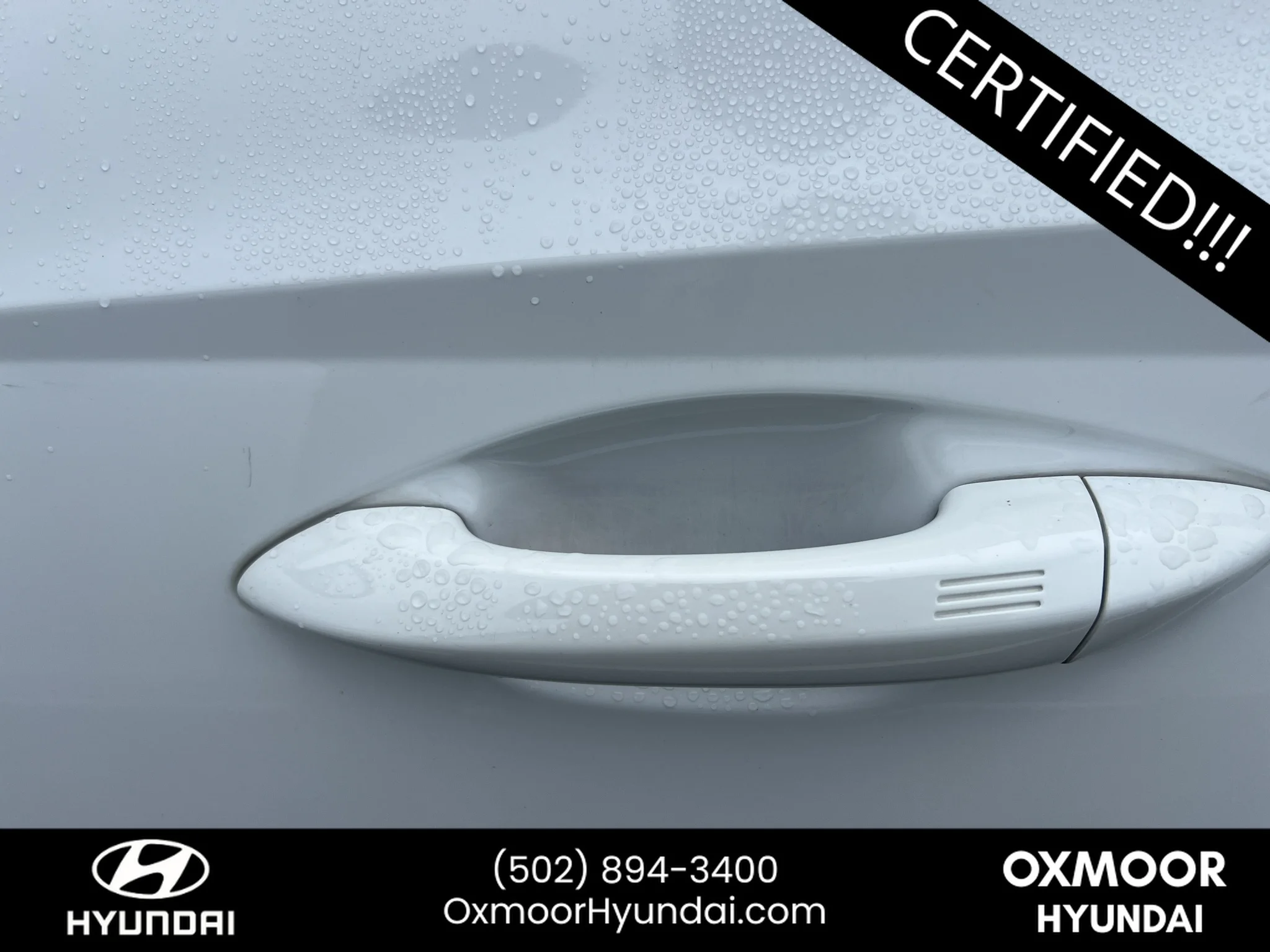 Used 2025 Serenity White Pearl Hyundai SEL image 4