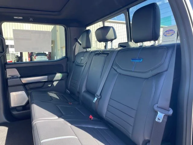New 2026 Carbonized Gray Metallic Ford Platinum image 9