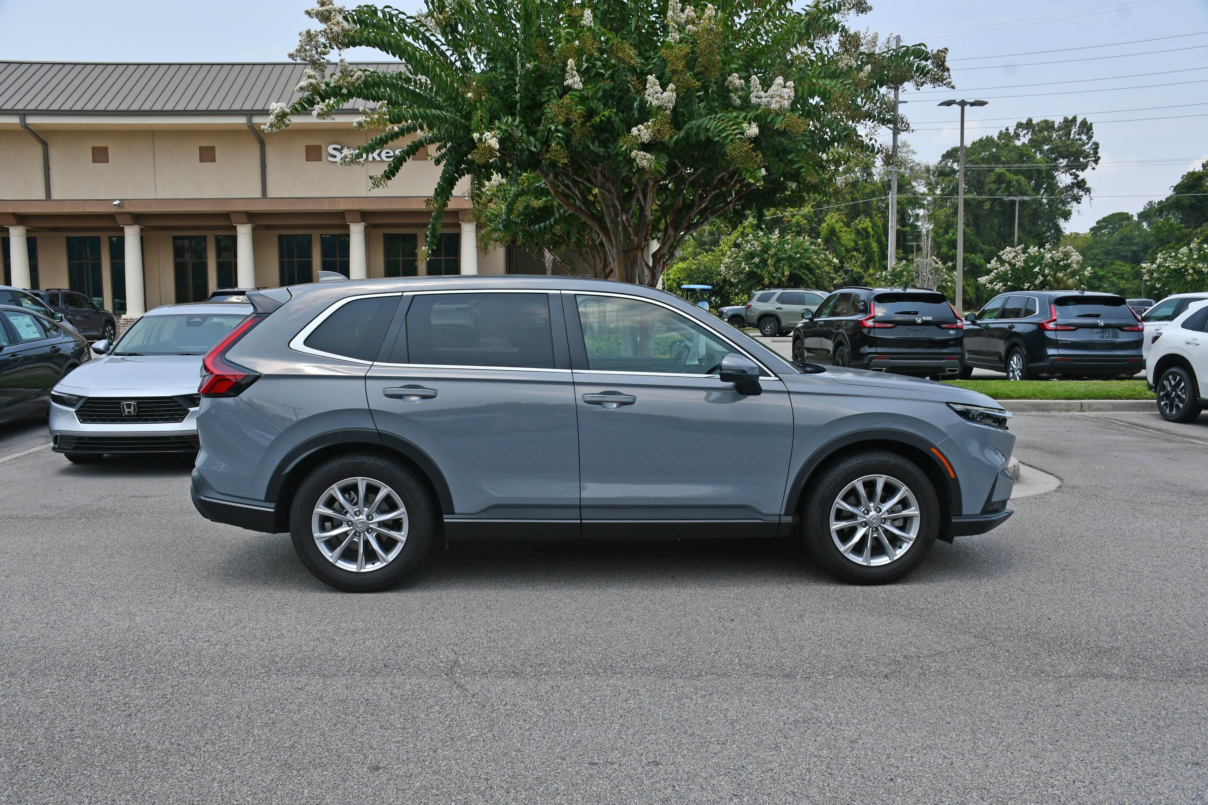 Used 2025  Honda EX-L image 5