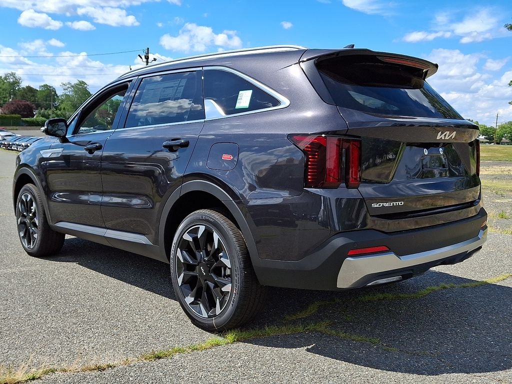 New 2026 Panthera Metal Kia EX image 3