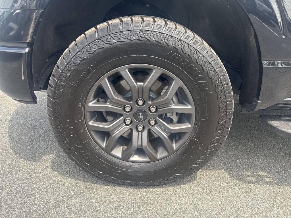 2023 Ford F-150 Tremor - Photo 13