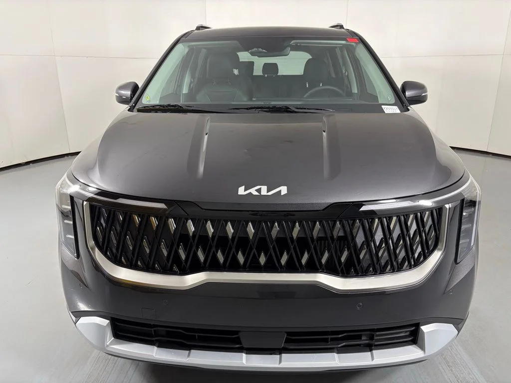 New 2026 Panthera Metal Kia EX image 3