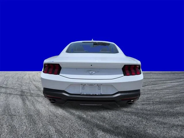New 2026 Oxford White Ford EcoBoost® Premium Fastback image 5
