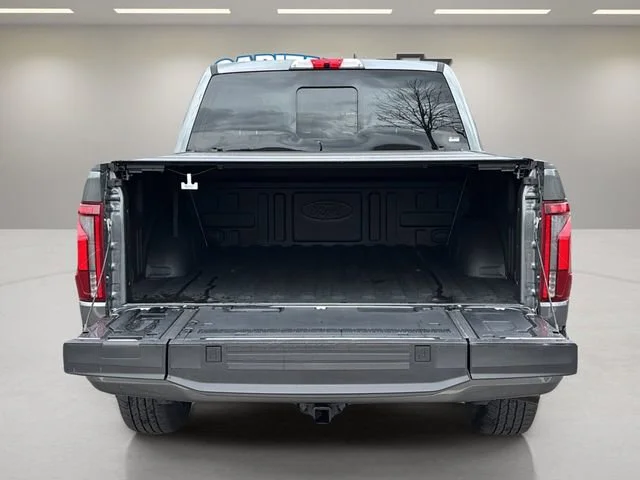 Used 2025 Gray Ford Platinum image 32