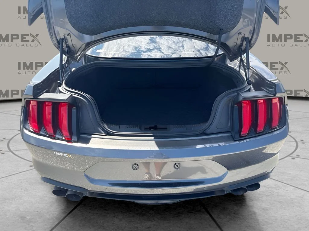 Used 2019 Gray Ford GT image 16