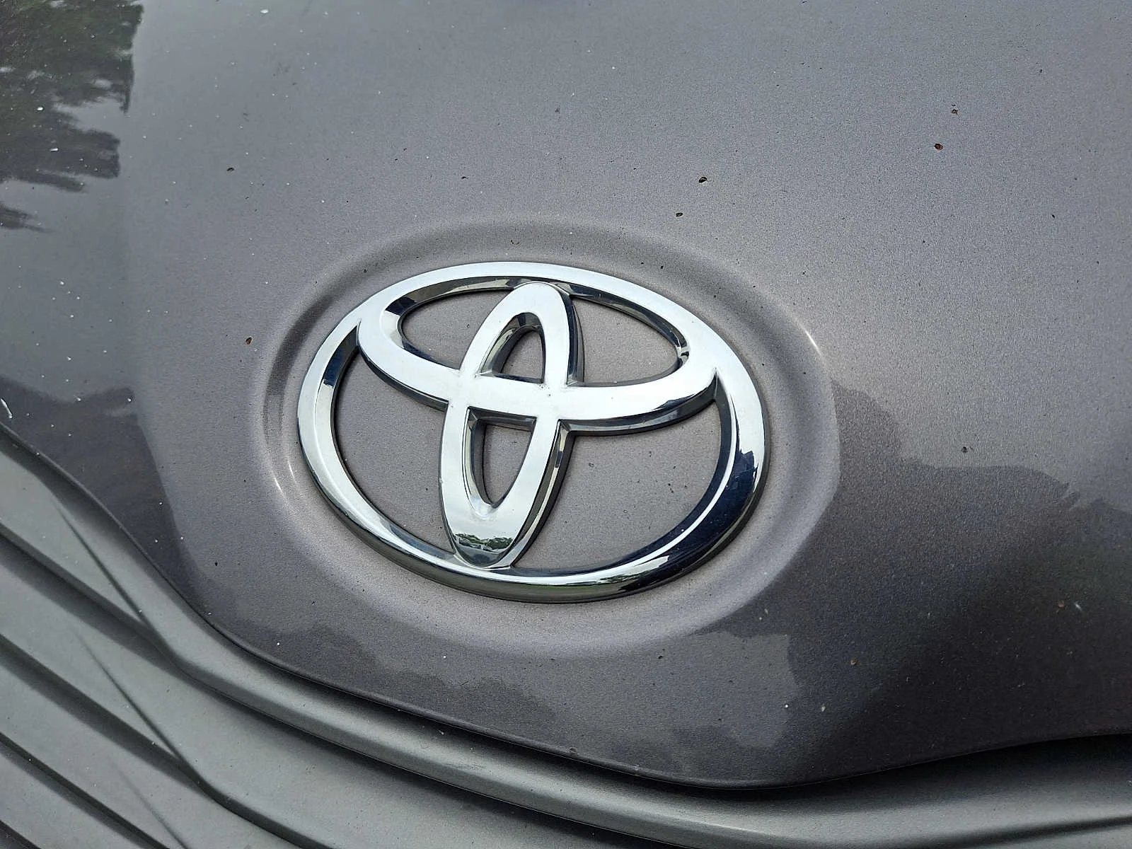 Used 2013 Predawn Gray Mica Toyota XLE AAS image 5