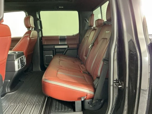 Used 2019 Black Ford Platinum image 34