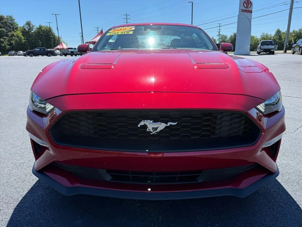 Used 2023 Red Metallic Ford EcoBoost image 3