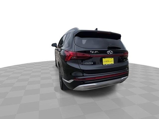 Used 2023  Hyundai Calligraphy image 7