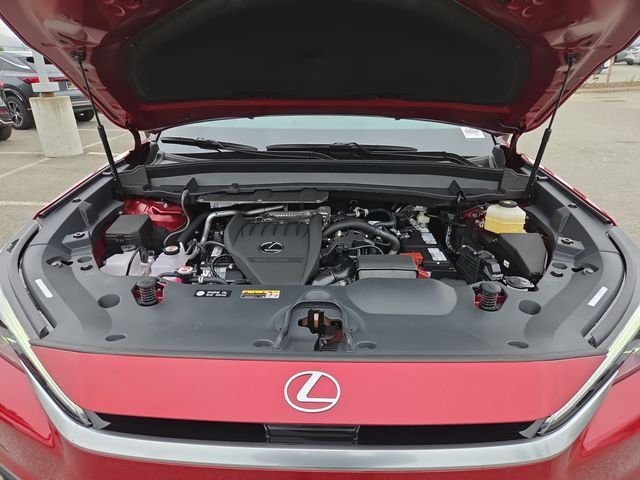 New 2026 Matador Red Mica Lexus  350 LUXURY AWD image 24