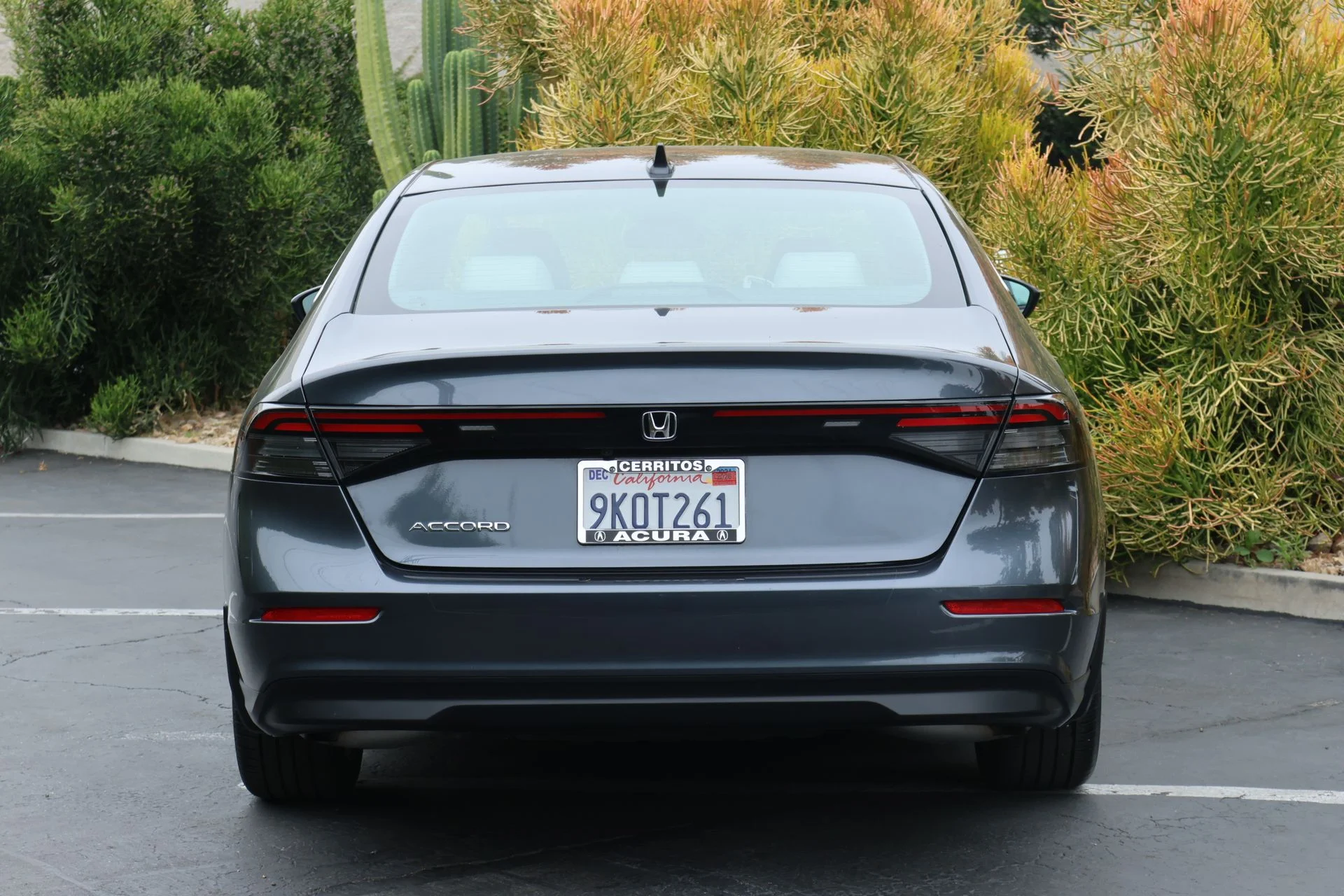 Used 2024  Honda LX image 4