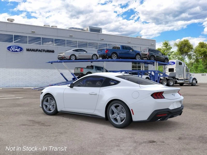 New 2026 Oxford White Ford  image 4
