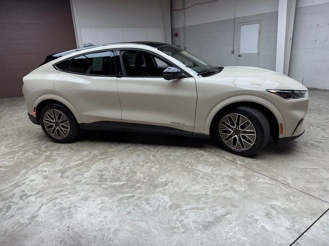 New 2025 Beige Ford Premium image 6