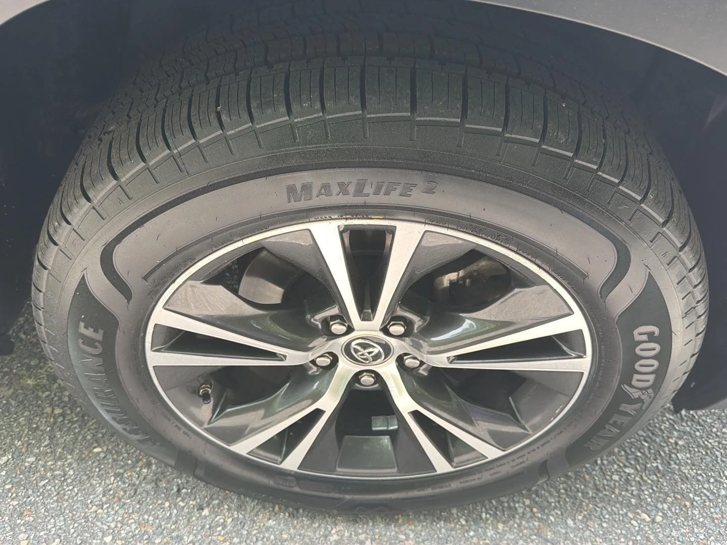 Used 2019  Toyota LE image 10