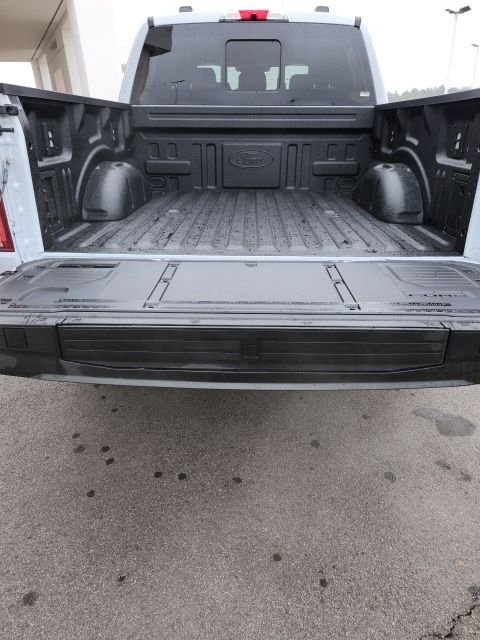 2025 Ford F-150 Platinum - Photo 21