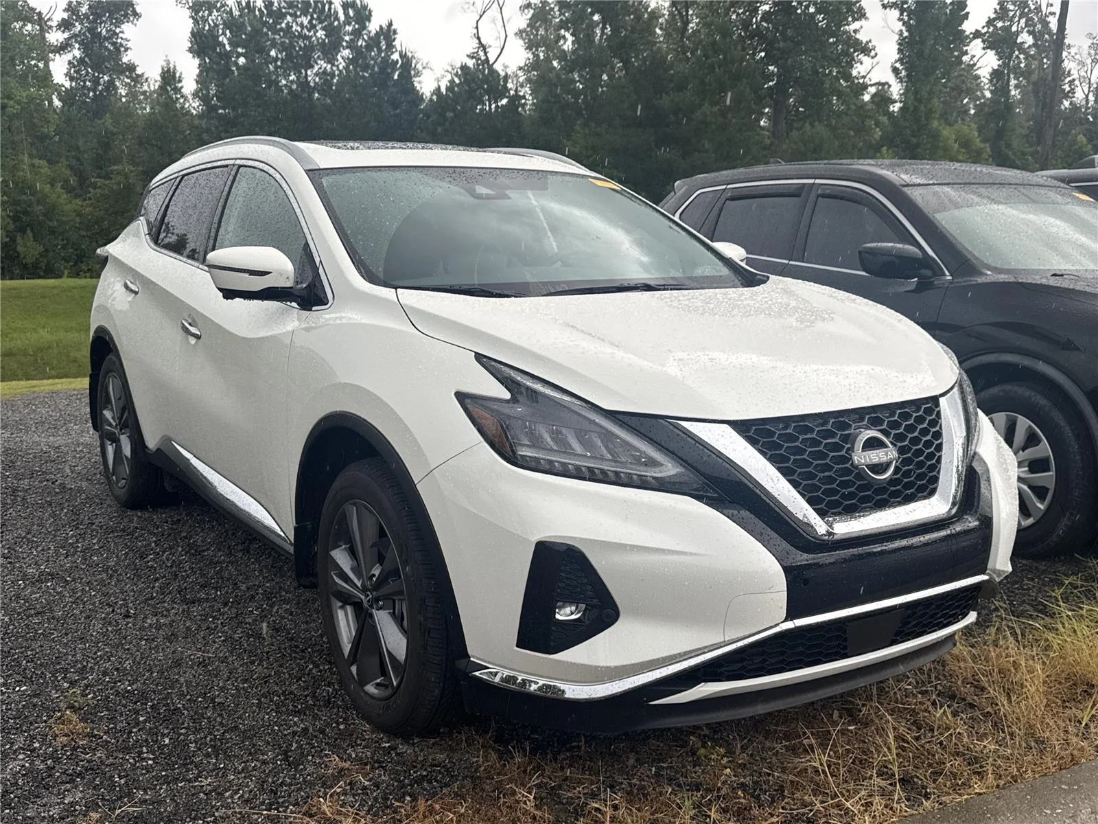 Used 2024 Pearl White Tricoat Nissan Platinum image 1