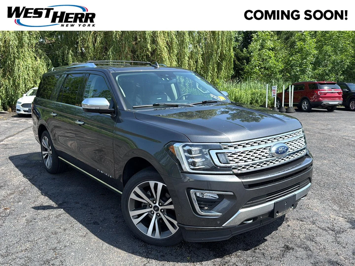 Used 2020 Magnetic Ford Platinum image 1