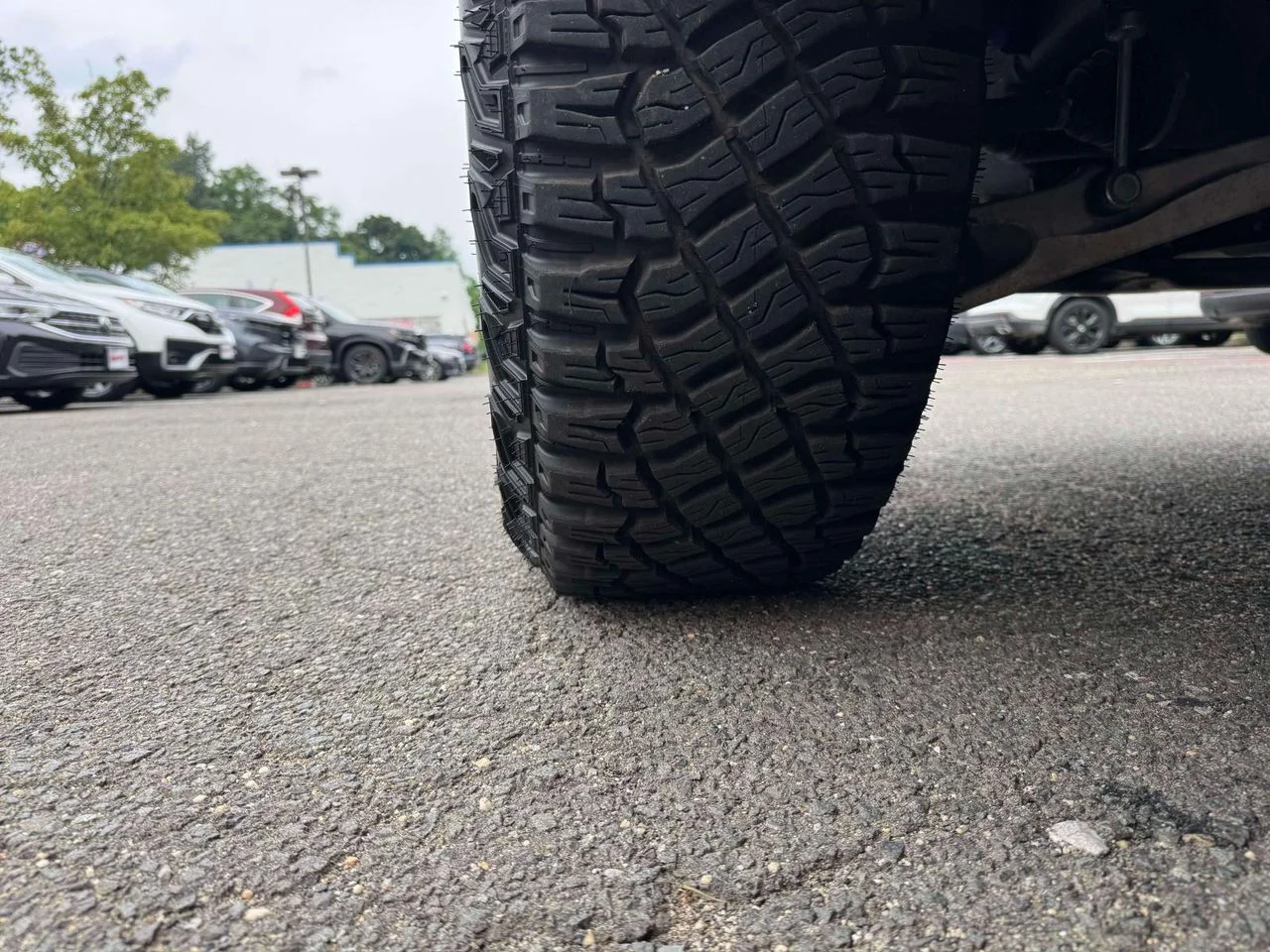 Used 2018 Magnetic Ford Raptor image 14