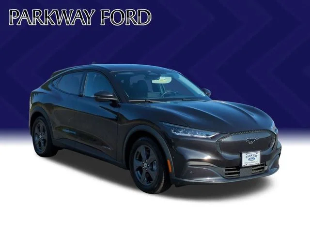 Used 2021 Gray Ford Select image 7