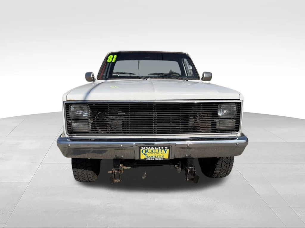 Used 1981 White Chevrolet W/T image 8