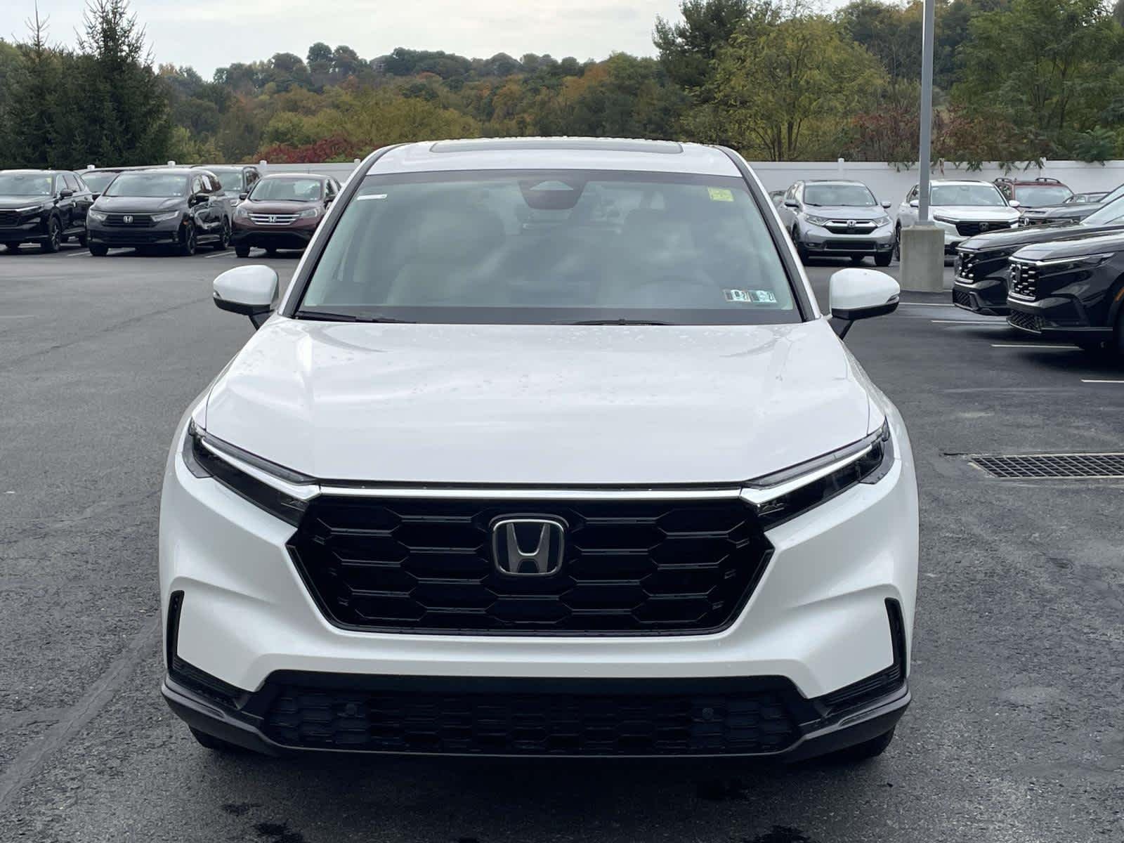 New 2027 Platinum White Pearl Honda EX-L image 12