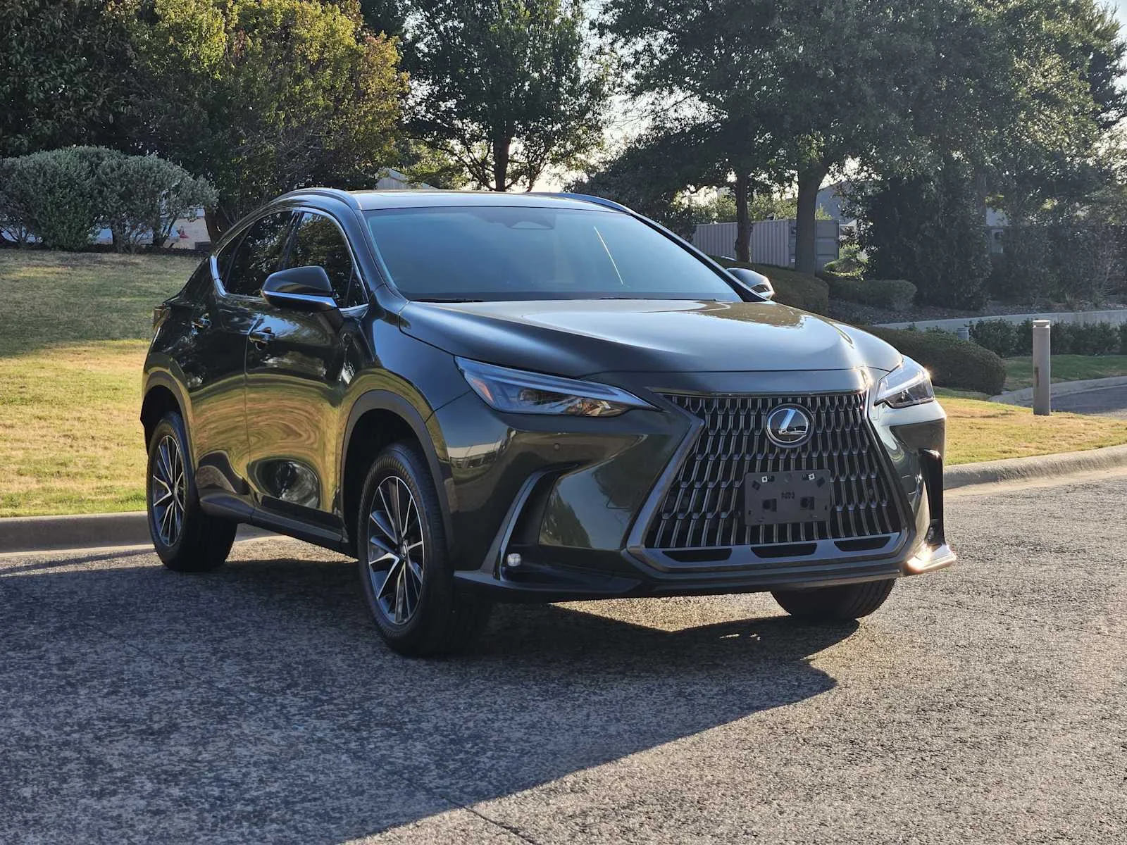 Certified Used 2025 NORI GREEN PEARL Lexus  image 2