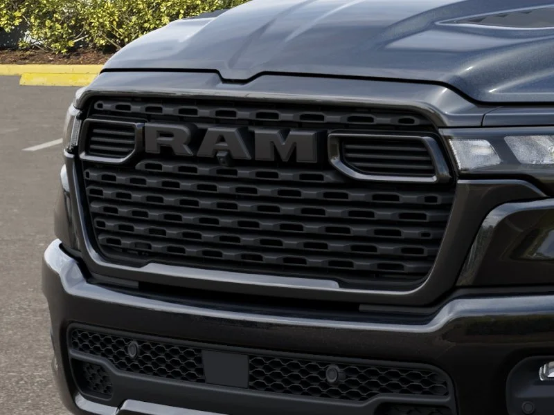 New 2026 Diamond Black Crystal Pearl-Coat Exterior Paint RAM Express image 11