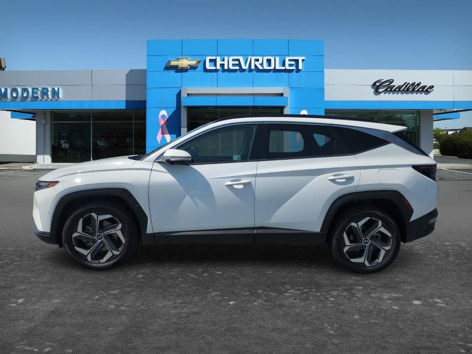 Used 2024 White Pearl Hyundai Limited image 2