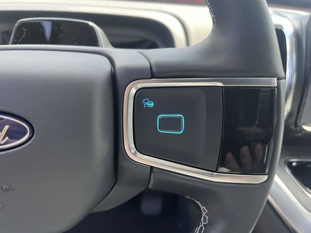 New 2026 Agate Black Metallic Ford Platinum® image 17